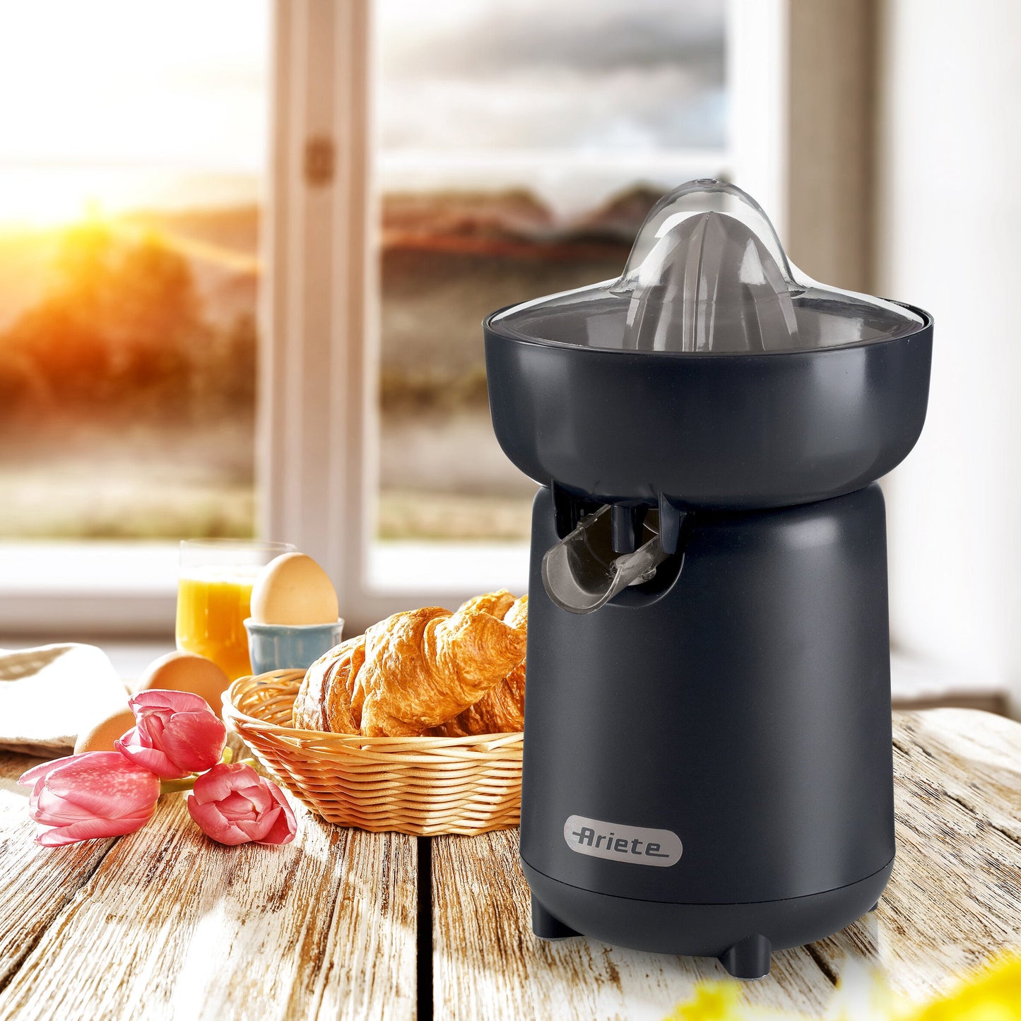 Breakfast Juicer
