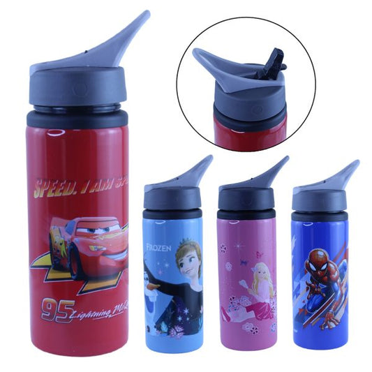 School and Sports Aluminum Water Bottle 700ml with Straw Lid