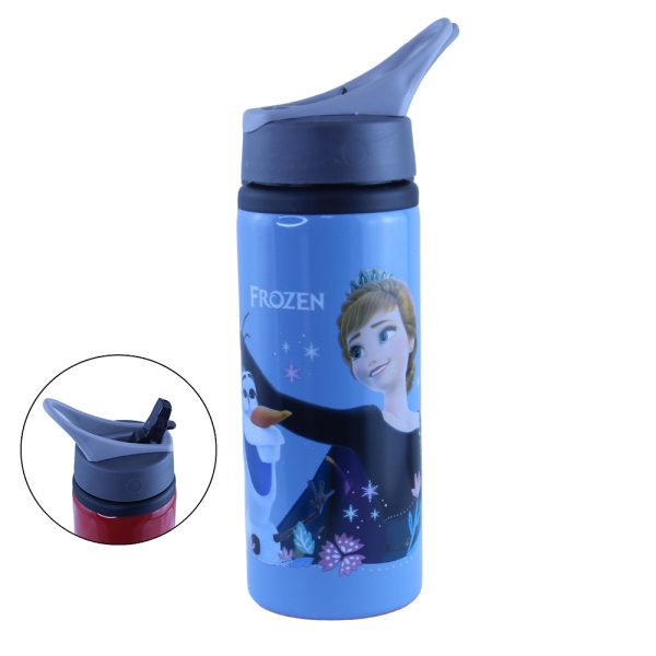 School and Sports Aluminum Water Bottle 700ml with Straw Lid