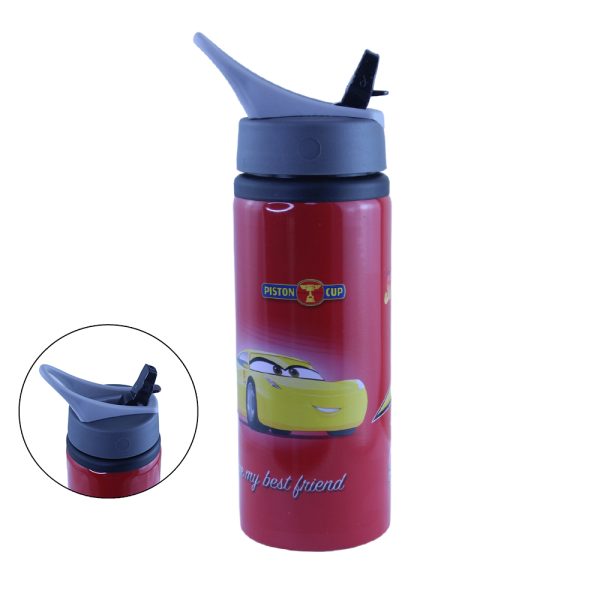 School and Sports Aluminum Water Bottle 700ml with Straw Lid