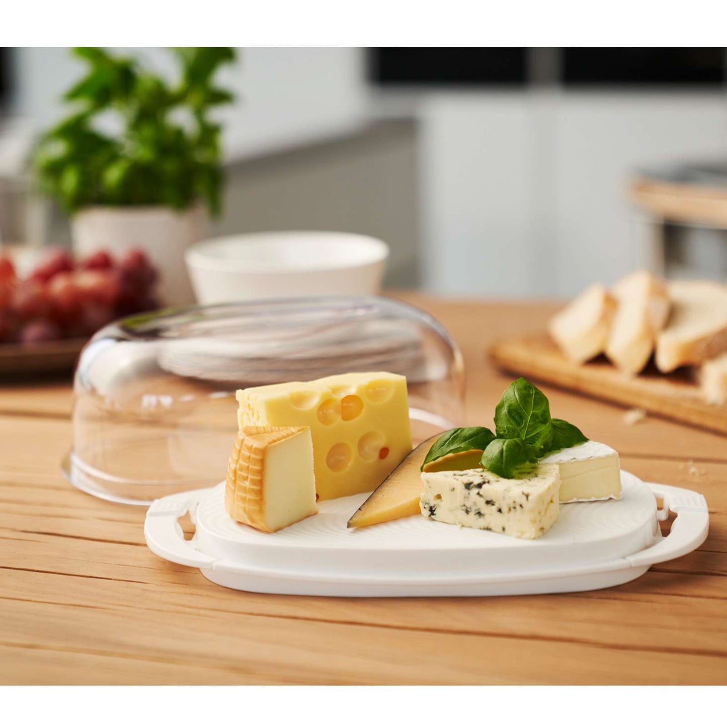 Cheese Container with Clear Plastic Hood by Rotho – Made in Switzerland