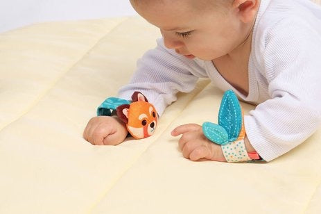 Foot and Hand Rattle