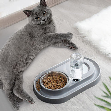 Double Pet Bowls with Automatic Water Dispenser