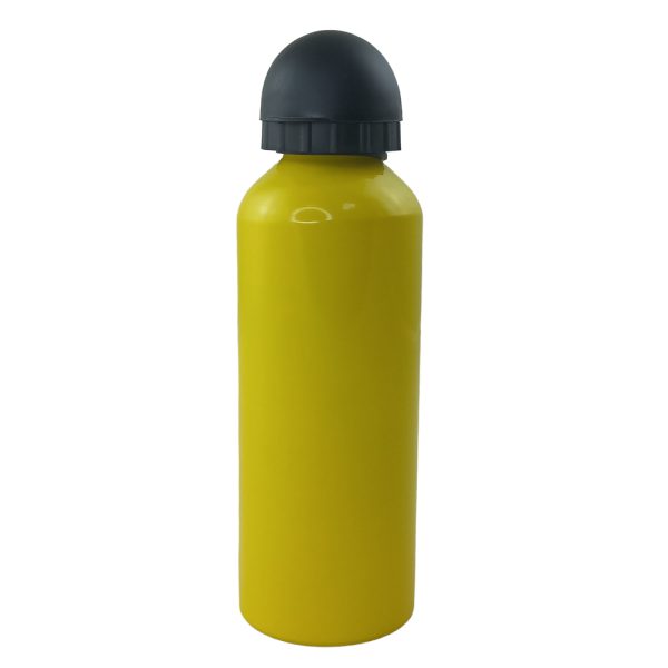Drinking Bottle Aluminum Screw With Lid 500ml