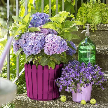 Emsa 513069 LANDHAUS Planter, Pink