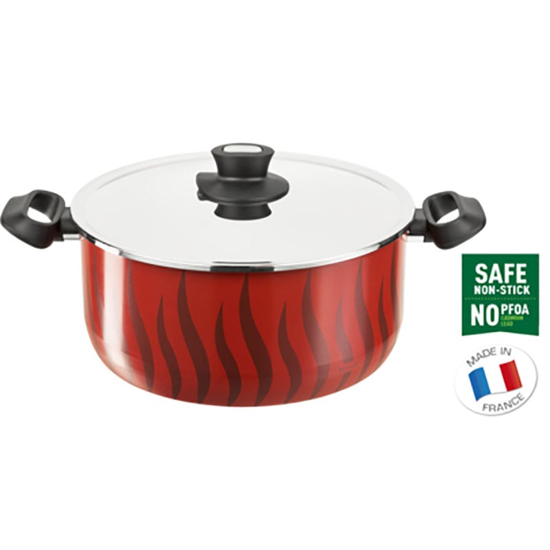 Tefal C3045283 Tempo Flamme – Stewpot 26 + Ss Lid