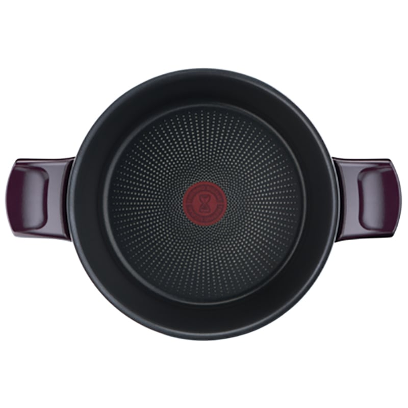 Tefal D5224682 Resist Intense – Stewpot 24cm + Glass Lid