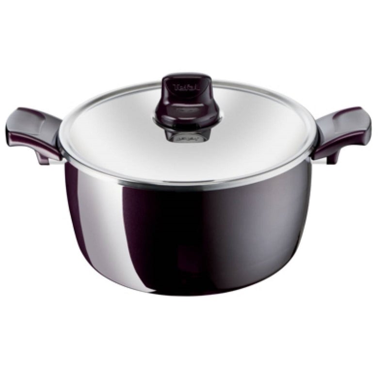 Tefal D5225282 Resist Intense – Stewpot 26cm + Glass Lid
