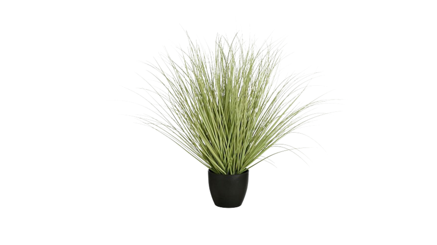 Grass Green in Plastic Pot - Height 68 cm