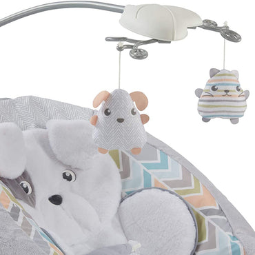 Fisher-Price MTFPGWD50 Soft Cuddle Bouncer with Music/Vibrations