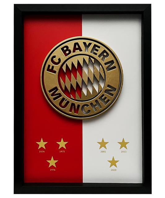 Bayern Munchen Frame WIth 3D-printed Logo