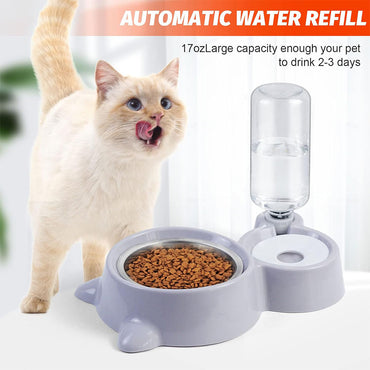 Double Pet Bowls with Automatic Water Dispenser