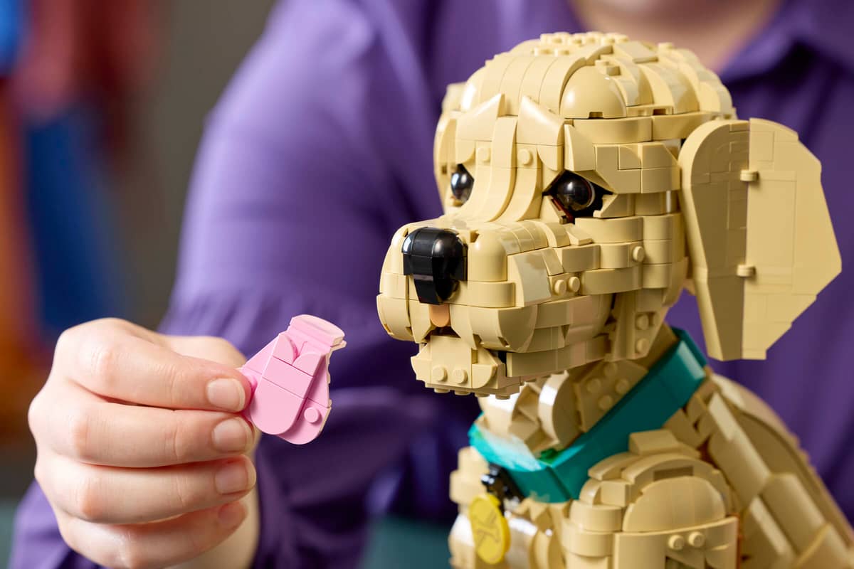 Lego Golden Retriever Puppy (2102)