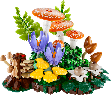 Woodland Mushrooms