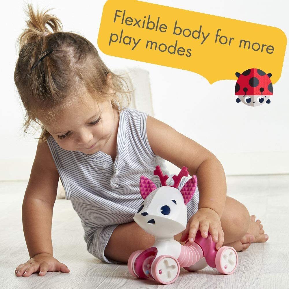 Rolling Florence The Fwan