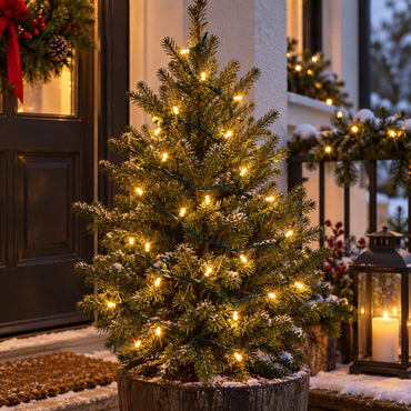 Noël Outdoor 36 LED Warm White String Lights – 3 m