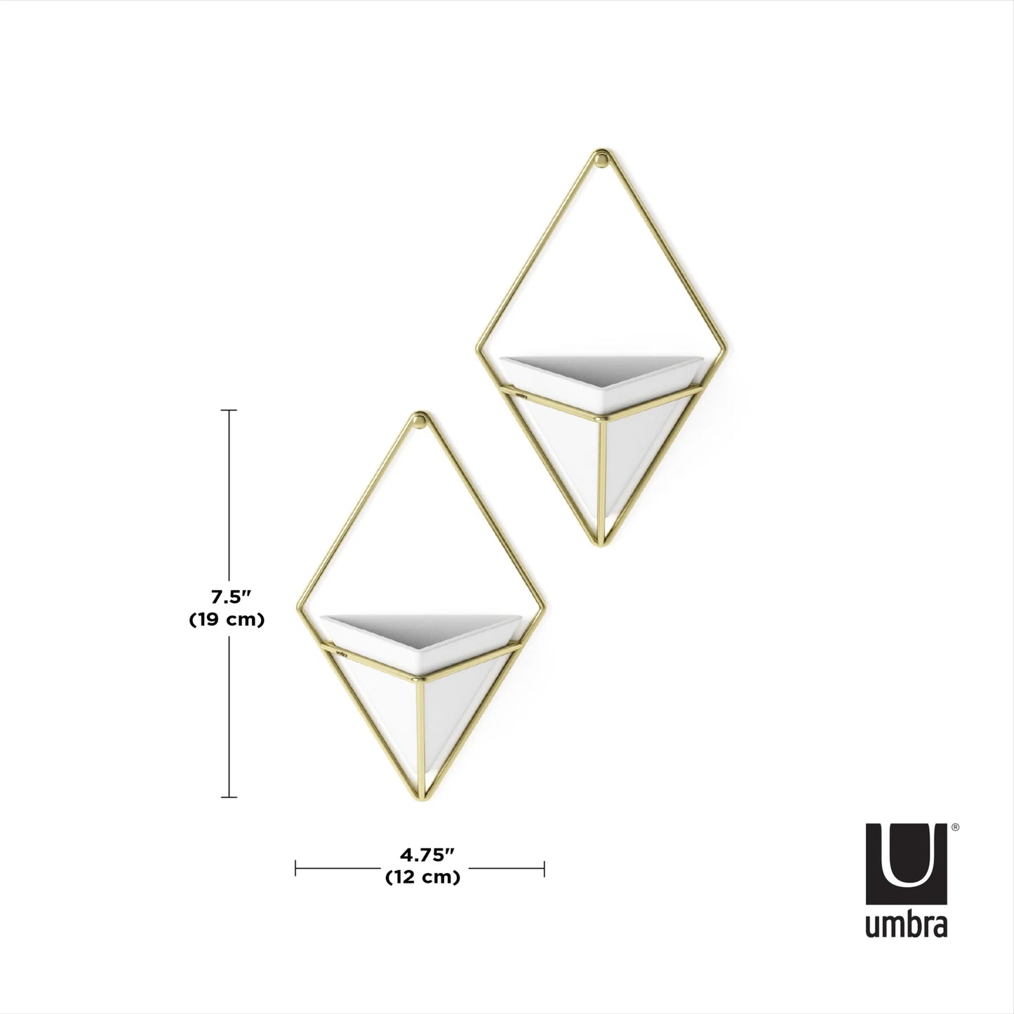 Umbra Trigg Small Wall Display set of 2 pieces