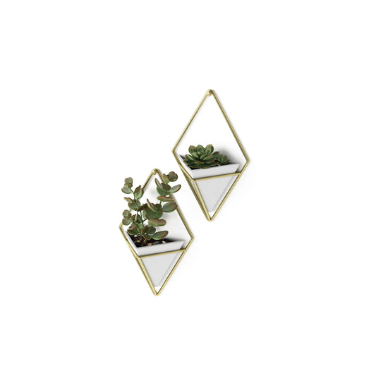Umbra Trigg Small Wall Display set of 2 pieces