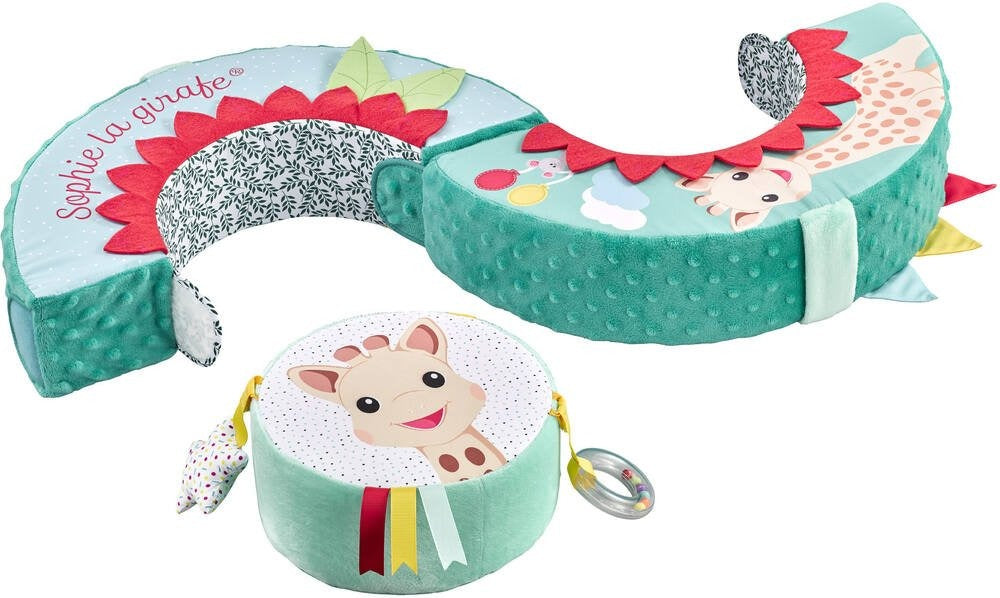 Fresh Touch Motor Skills Wheel