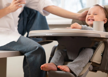 Olive Mint Highchair