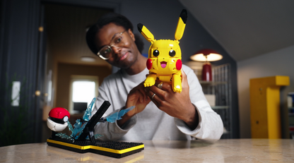 Pikachu and Poké Ball