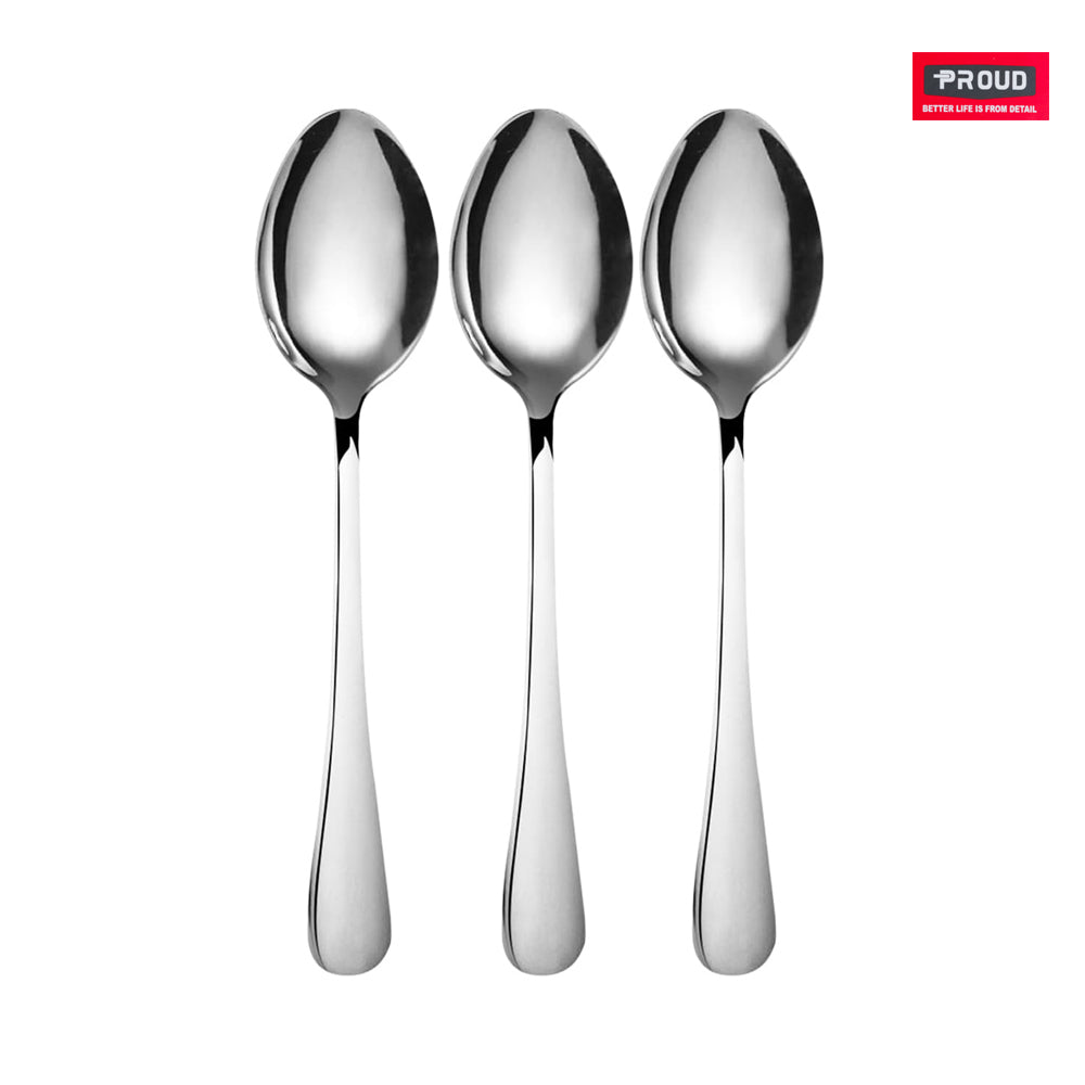 PROUD 3-Pieces Stainless Steel Medium Spoon Silverware Set