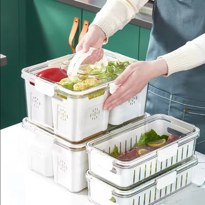 Food Storage Containers Box With Clear Lid and 4 Removable Drain Tray