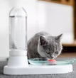 Automatic Pet Fountain