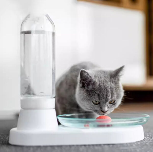 Automatic Pet Fountain