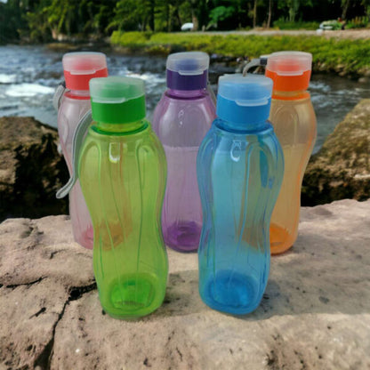 Plastic Water Bottle with Lid 650ml (Random color)