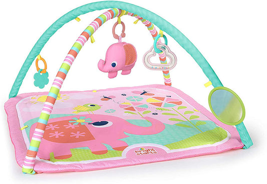 Bright Starts 10091 Fancy Flowers Activity Gym