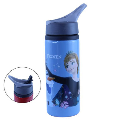 School and Sports Aluminum Water Bottle 700ml with Straw Lid