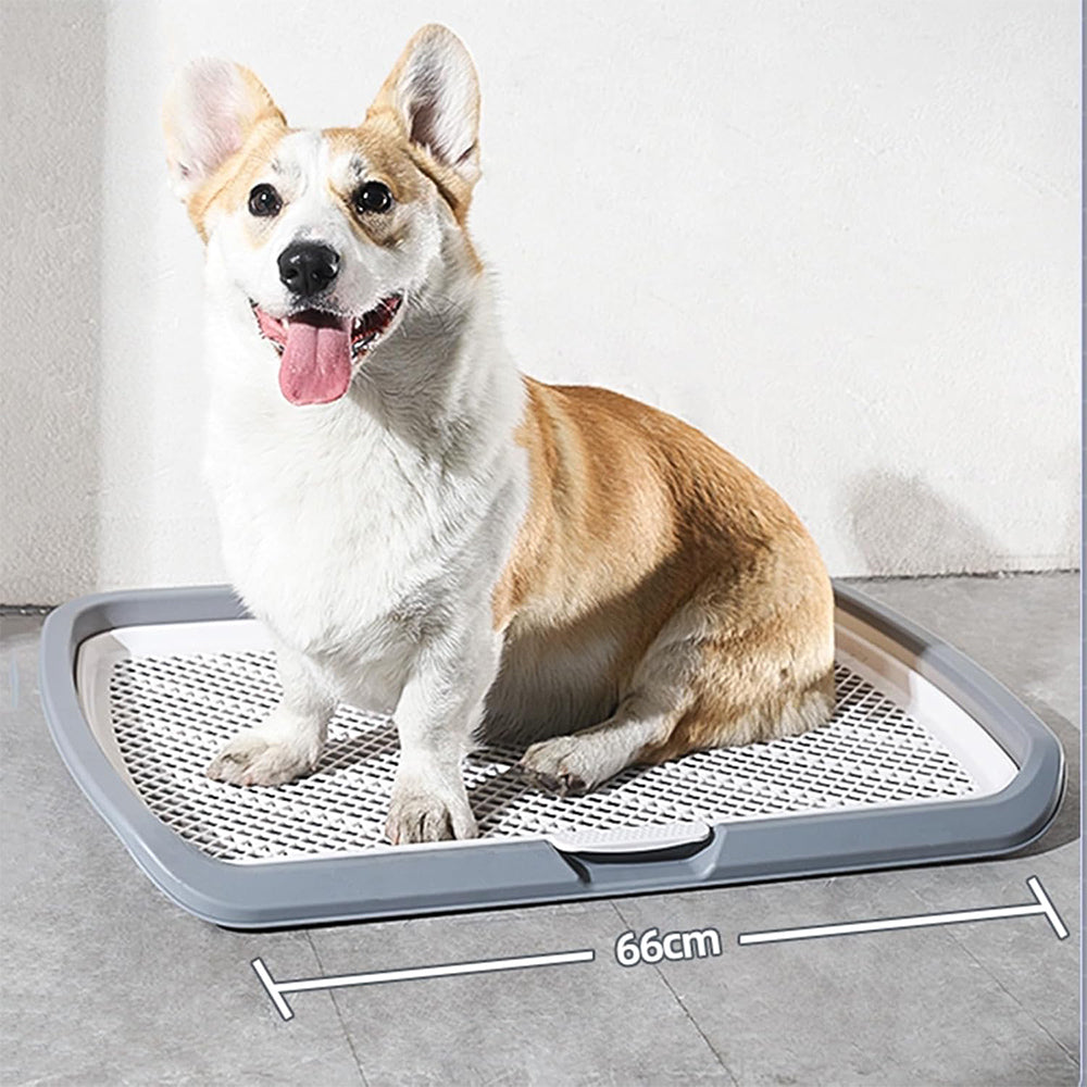 Flat Dog Toilet – Removable & Easy to Clean MB219