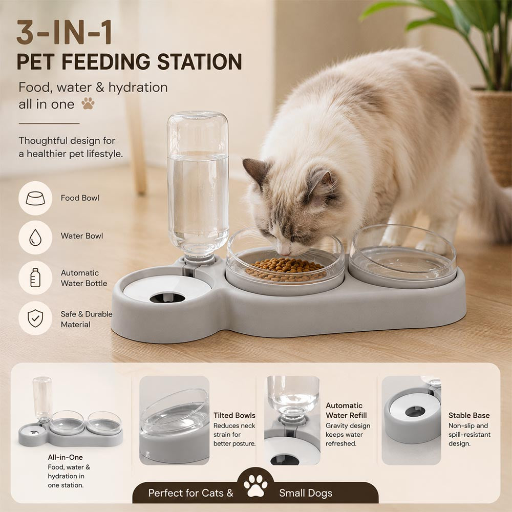 3-IN-1 Automatic Pet Feeding Station MB1011
