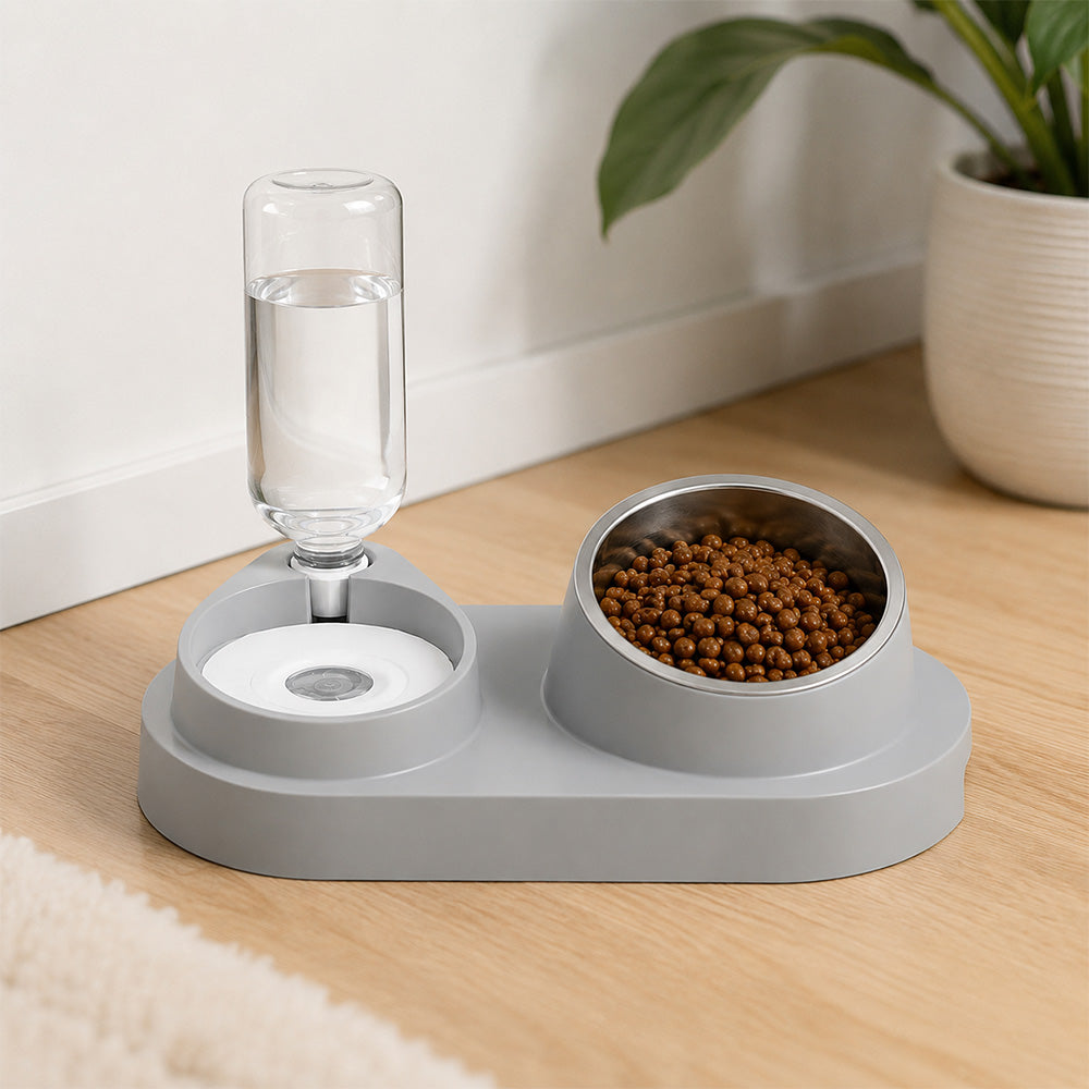 3-IN-1 Automatic Pet Feeding Station MB1016
