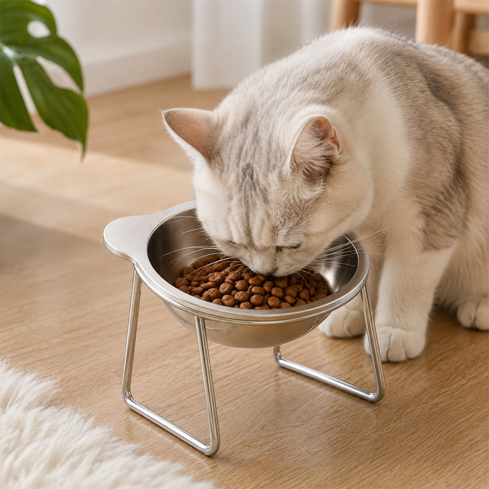 Elevated Stainless Steel Pet Bowl MB1017