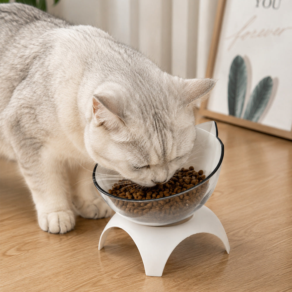 Elevated Cat Bowl Stand MB1041