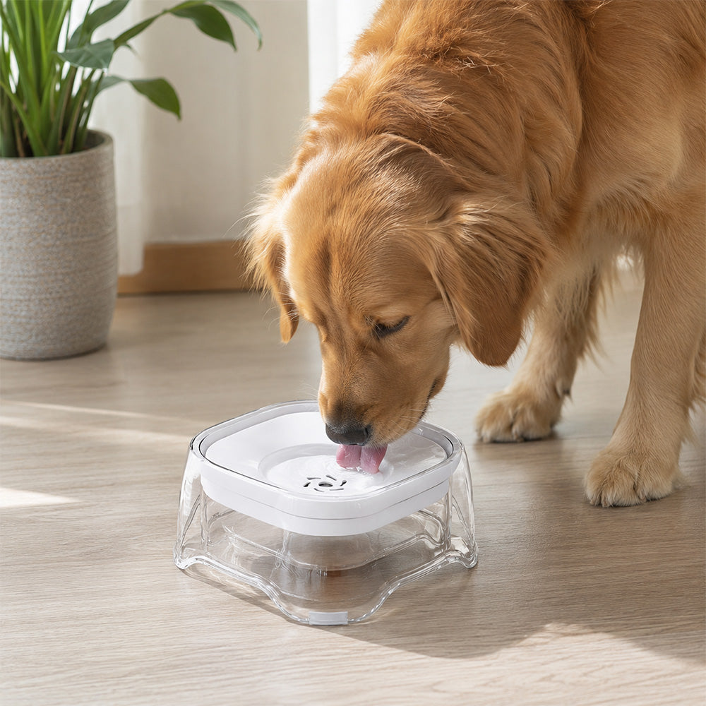 No Splash Slow Drinking Pet Water Bowl MB1104