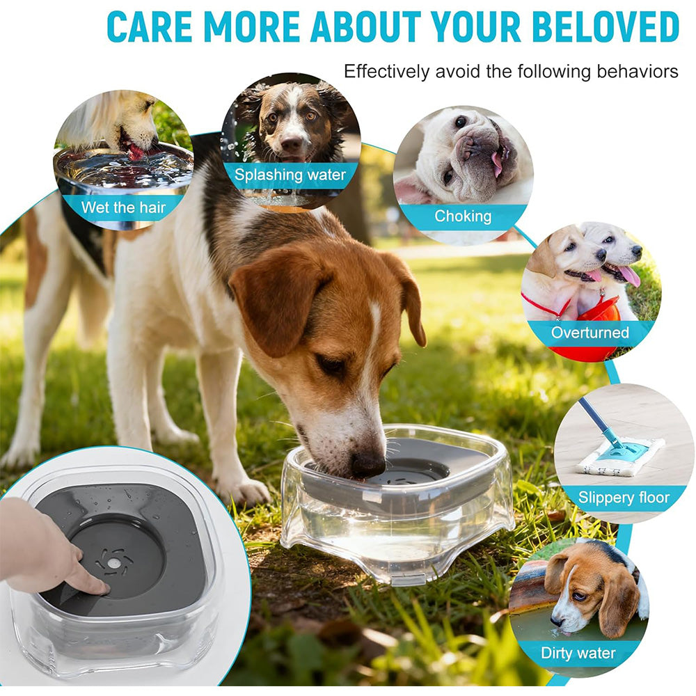 No Splash Slow Drinking Pet Water Bowl MB1104