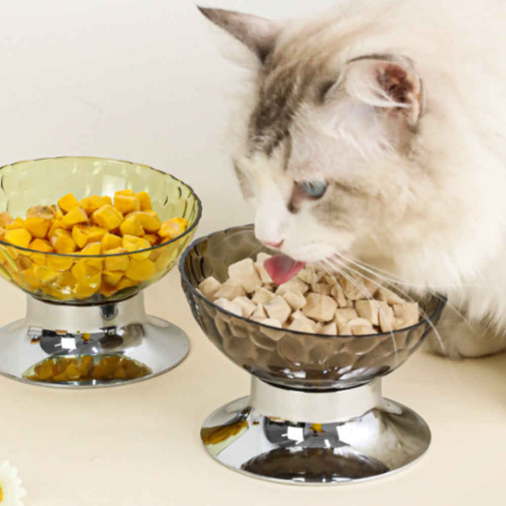 Elevated Transparent Pet Bowl MB1090