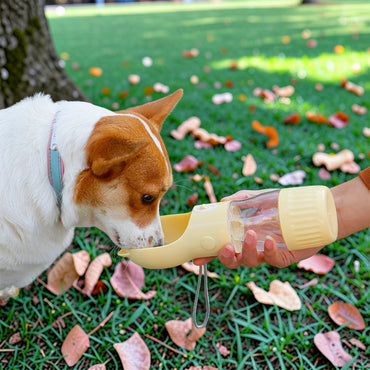 Portable Pet Water Bottle 380ml – MB314