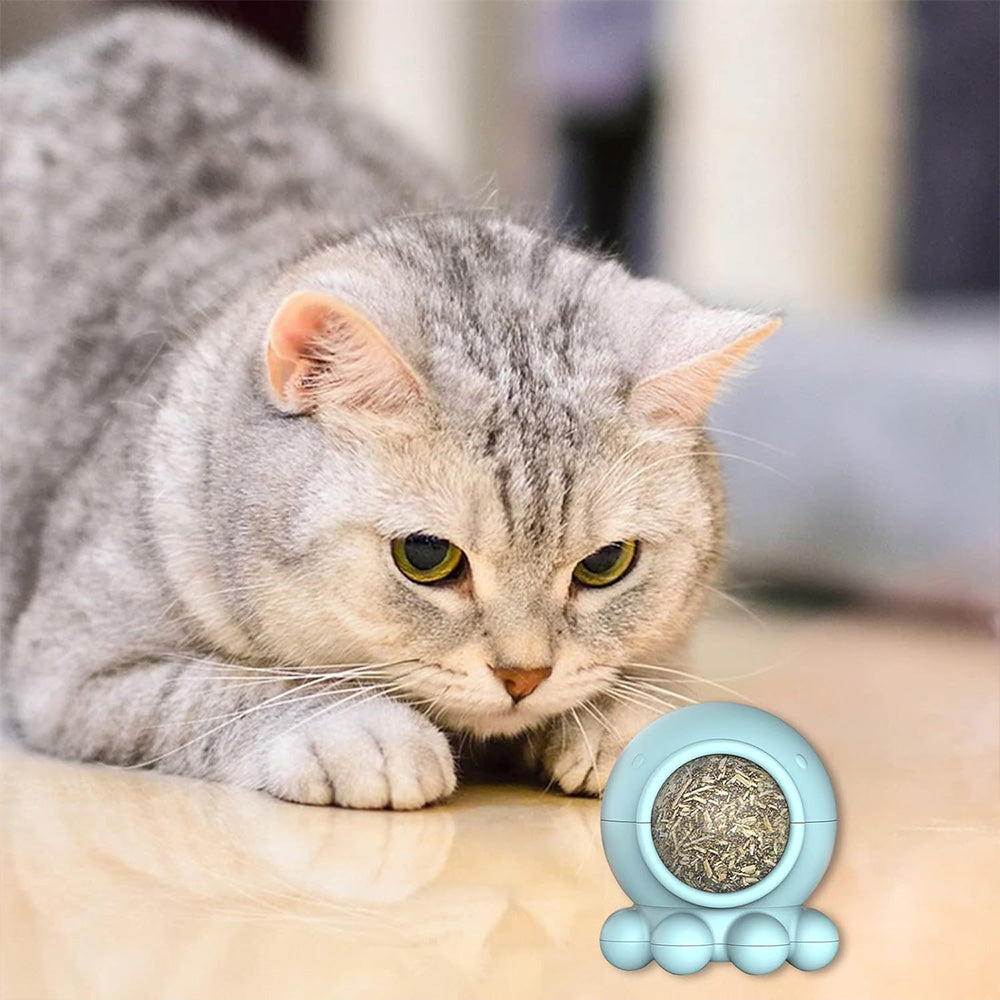 360° Rotating Catnip Ball Toy MB333