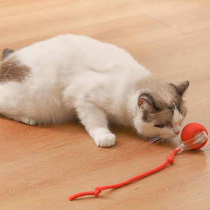 Interactive Electric Cat Ball Toy MB376