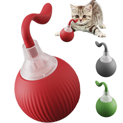 Interactive Rolling Cat Toy Ball MB377