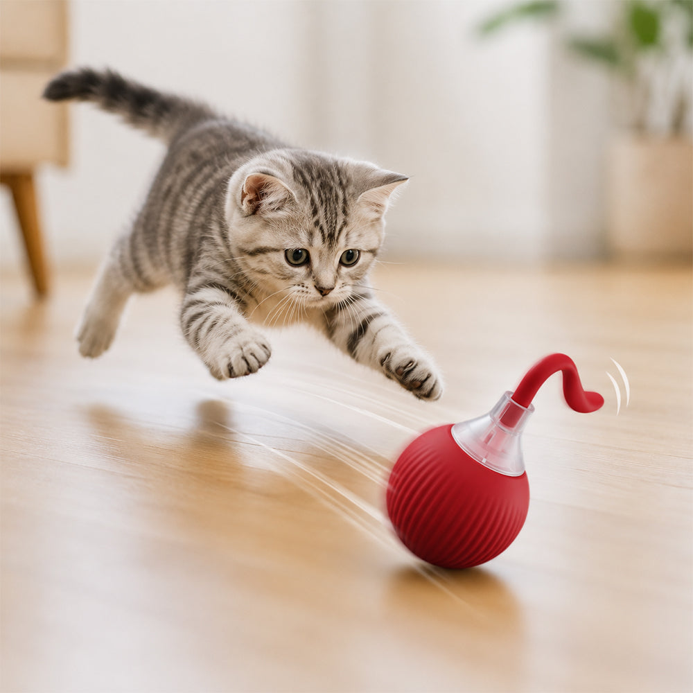 Interactive Rolling Cat Toy Ball MB377