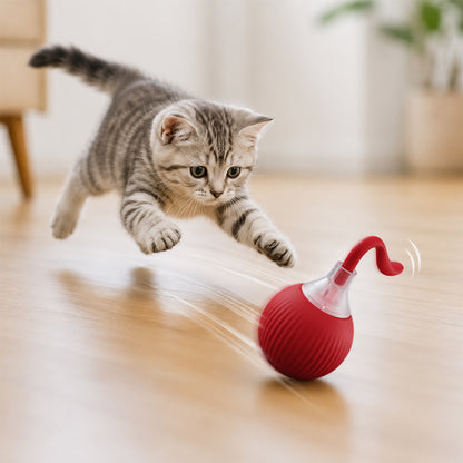 Interactive Rolling Cat Toy Ball MB377