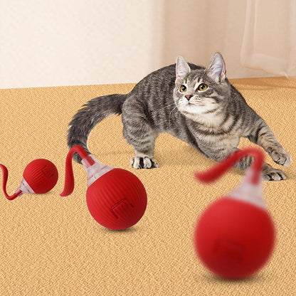 Interactive Rolling Cat Toy Ball MB377