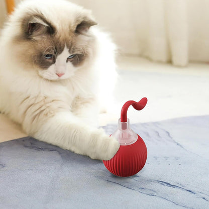 Interactive Rolling Cat Toy Ball MB377
