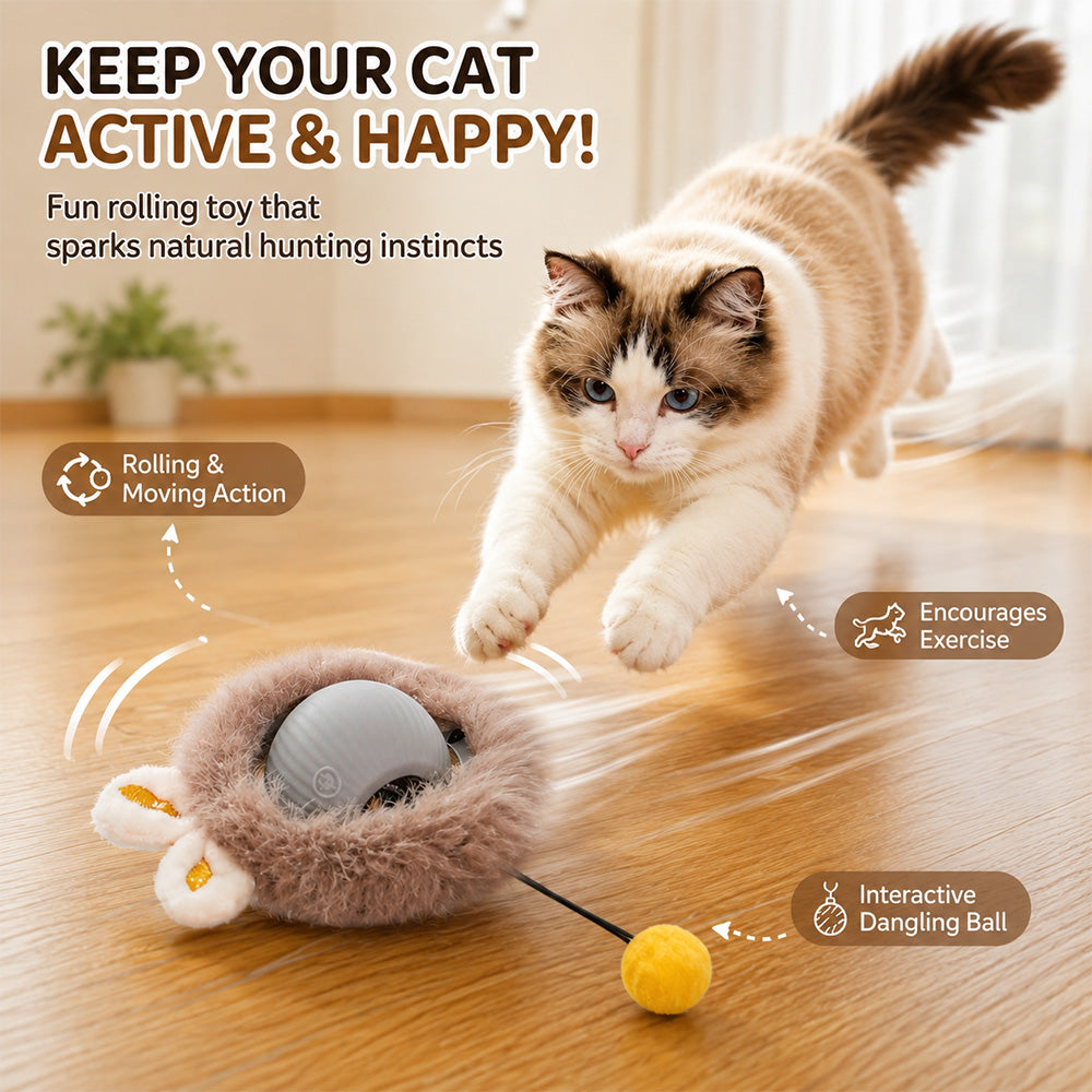Interactive Rolling Cat Toy MB380