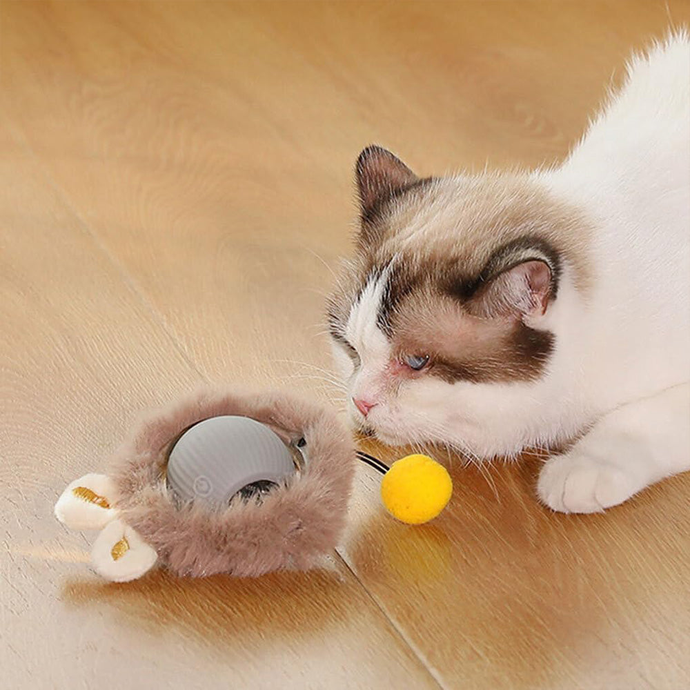 Interactive Rolling Cat Toy MB380